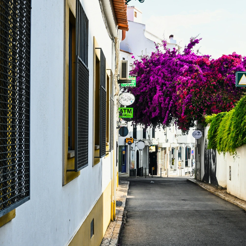 Narrow street in Lagos with white houses and purple bougainvillea